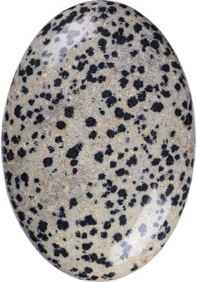 Pedra de palma de jaspe da Dálmata natural polida em forma oval Pedra de energia de cristal da Dálmata para decoração de edifícios